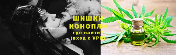 хмурый Бронницы