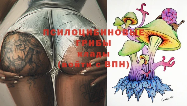 хмурый Бронницы