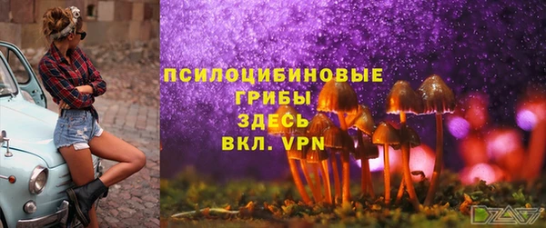 хмурый Бронницы