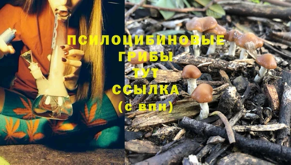мескалин Магадан