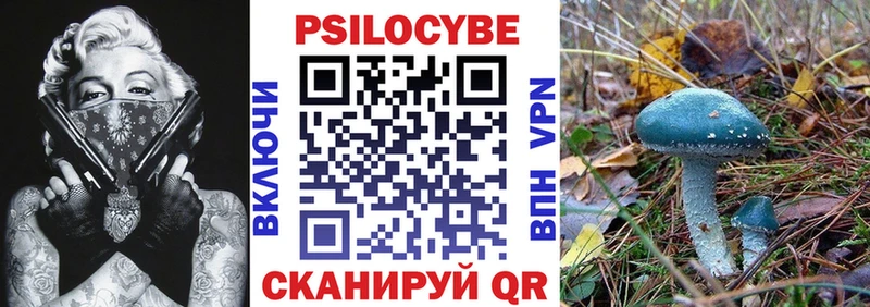 Купить закладки  Кондопога  Псилоцибиновые грибы GOLDEN TEACHER 