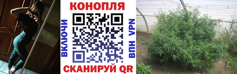 Конопля тримм  Купить где  Кондопога 